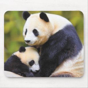 Mousepad Mato De Rato Panda Muito Bonito