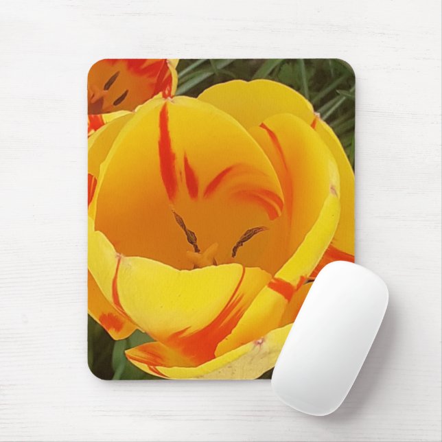 Mousepad Mato do mouse com tulipas amarelas (Com mouse)