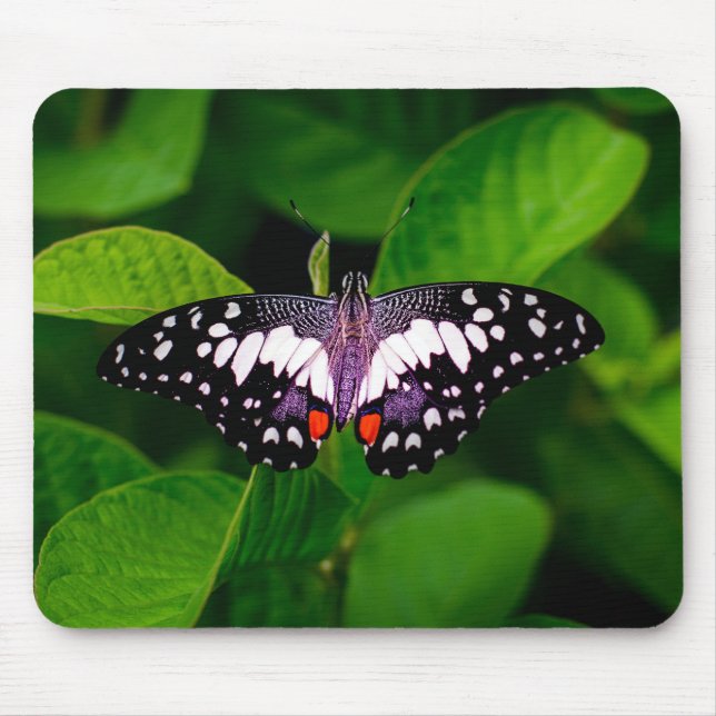 Mousepad Mato do rato borboleta (Frente)