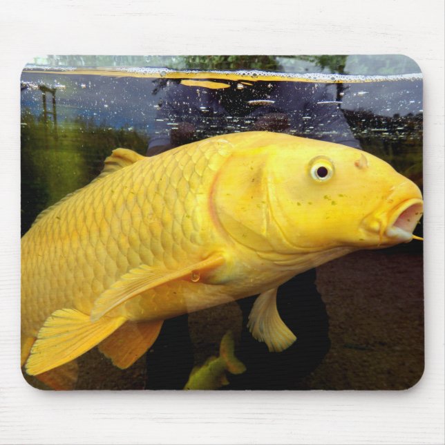 Mousepad Mato Do Rato Koi Carp (Frente)