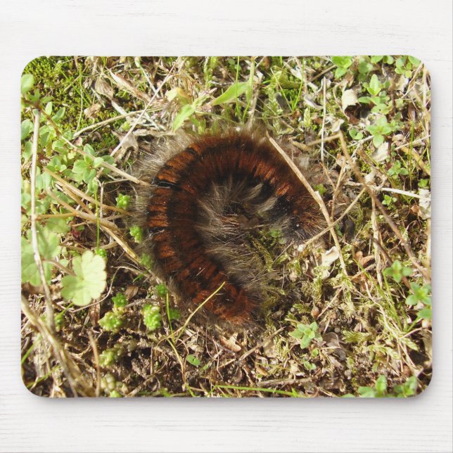 Mousepad Matriz de Rato da Coluna Fox Moth (Frente)