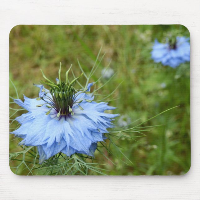 Mousepad Matriz de Rato de Cornflower (Frente)