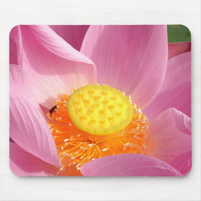 Mousepad Matriz de Rato de Lily Água (Frente)