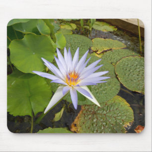 Mousepad Matriz de Rato de Lily Água