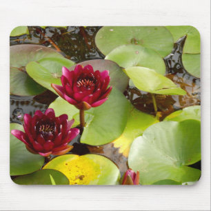 Mousepad Matriz de Rato de Lily Água