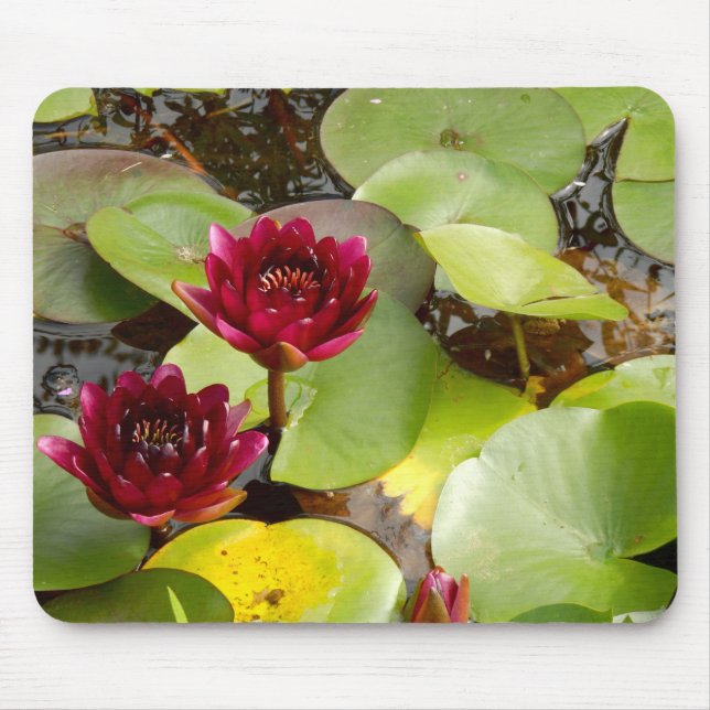 Mousepad Matriz de Rato de Lily Água (Frente)