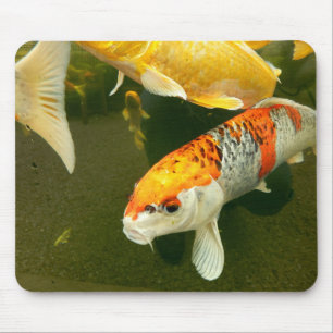 Mousepad Matriz de rato Koi Carp