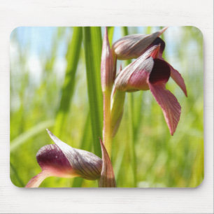 Mousepad Matriz do mouse Orquídea de Língua