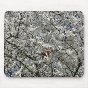 Mousepad Matriz Mirabelle Blossom