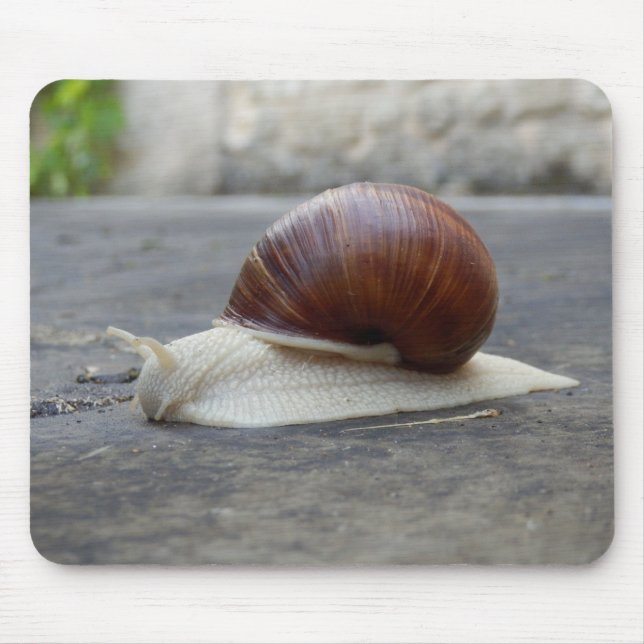 Mousepad Matriz Rato de Caracol (Frente)