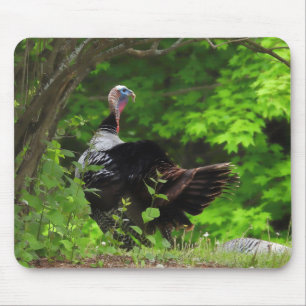 Mousepad Mature Male Wild Turkey