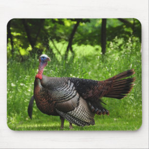 Mousepad Mature Male Wild Turkey Exibindo Penas