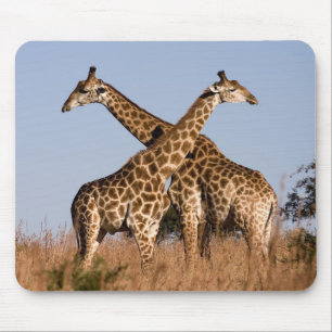 Mousepad Mauspad girafa