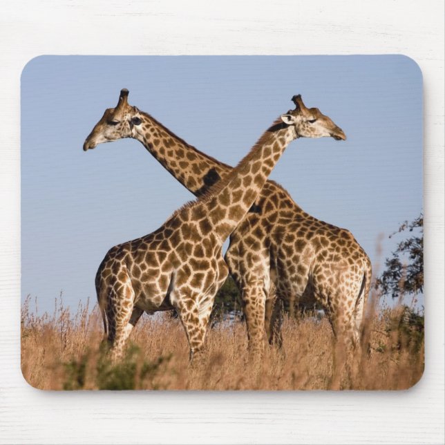 Mousepad Mauspad girafa (Frente)