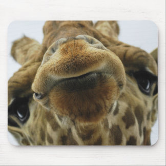 Mousepad Mauspad girafa beijo