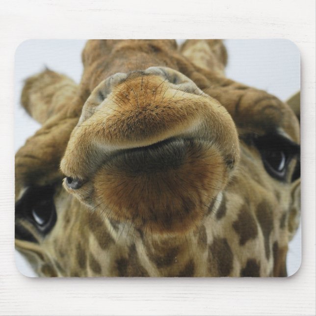 Mousepad Mauspad girafa beijo (Frente)