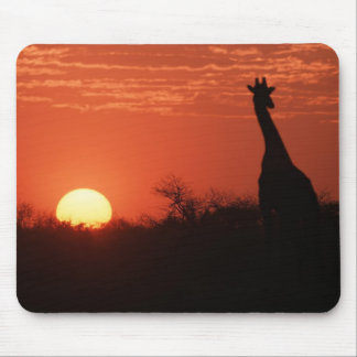 Mousepad Mauspad girafa pôr do sol