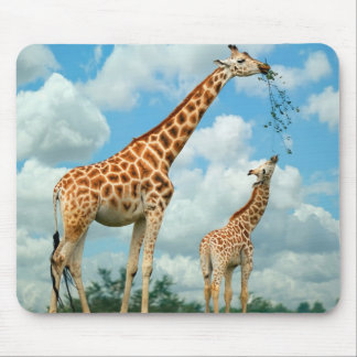 Mousepad Mauspad girafas menino mãe e