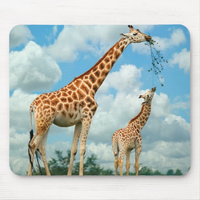 Mousepad Mauspad girafas menino mãe e (Frente)