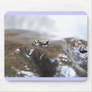 Mousepad McDonald-Dunn. Angra do carvalho. Uenoidae