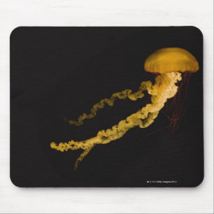 Mousepad Medusa 2