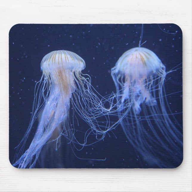 Mousepad medusa, animal, submarina (Frente)