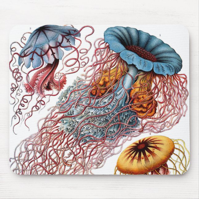 Mousepad Medusa Antiga por Ernst Haeckel, Discomedusae (Frente)