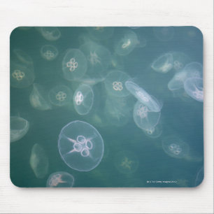 Mousepad Medusa da lua