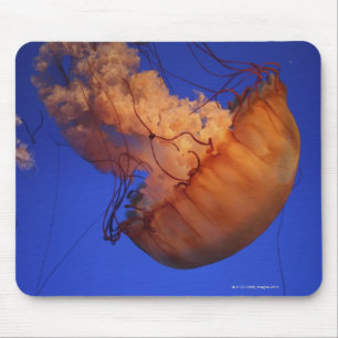 Mousepad Medusa da provocação do mar