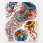 Mousepad Medusas por Ernst Haeckel<br><div class="desc">Características deste produto a ilustração de cor de medusas do "do der Natur Kunstformen" de Ernst Haeckel (1904). Ernst Haeckel era um biólogo, um naturalista, um filósofo, um médico, um professor e um artista alemães. Descobriu, descreveu e nomeou milhares de espécies novas. Sua arte durou muitos muitos anos e inclui...</div>