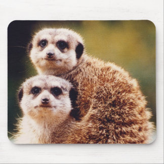 Mousepad meercat