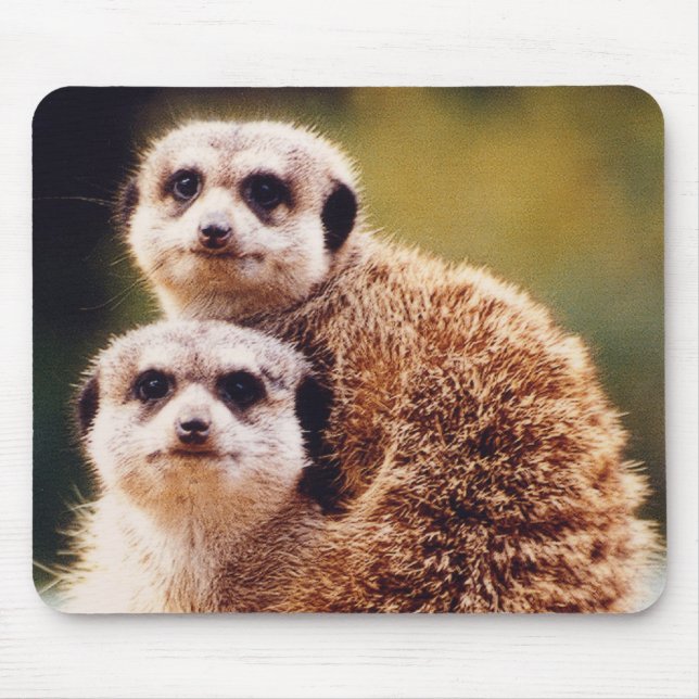 Mousepad meercat (Frente)