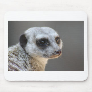 Mousepad Meerkat