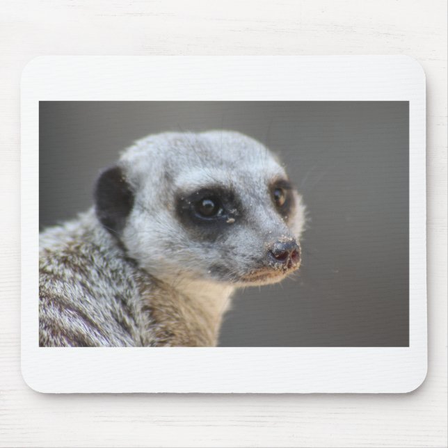 Mousepad Meerkat (Frente)