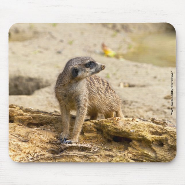 Mousepad Meerkat (Frente)