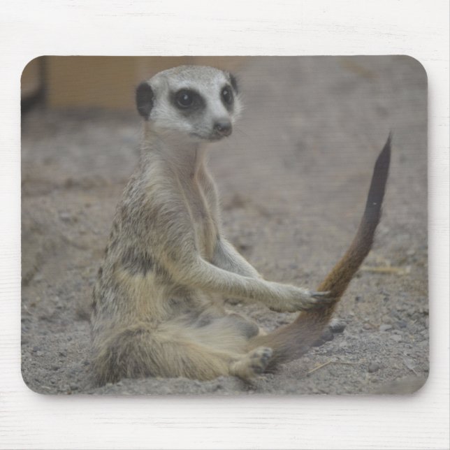 Mousepad Meerkat (Frente)