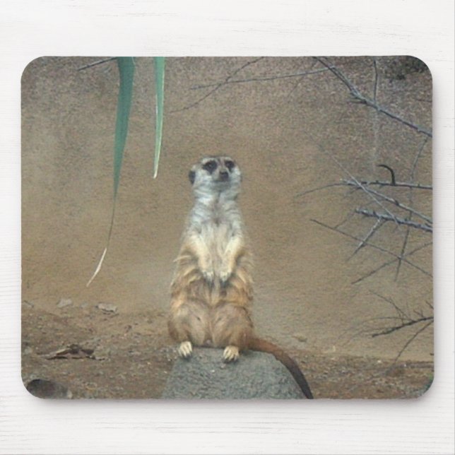 Mousepad Meerkat (Frente)