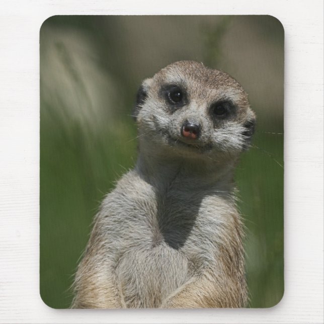 Mousepad Meerkat 004 (Frente)