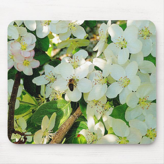 Mousepad Mel fazer (Frente)