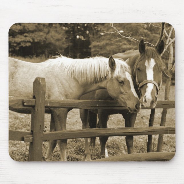 Mousepad Melhores Amigos (Frente)