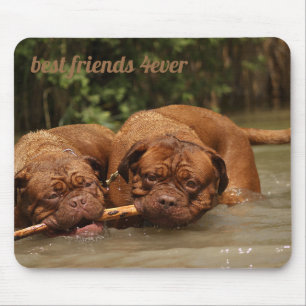 Mousepad Melhores Amigos