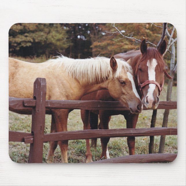 Mousepad Melhores Amigos (Frente)