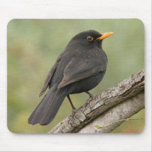 Mousepad Melro