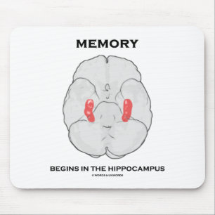 Mousepad Memória Começa No Hippocampus (Psicologia)