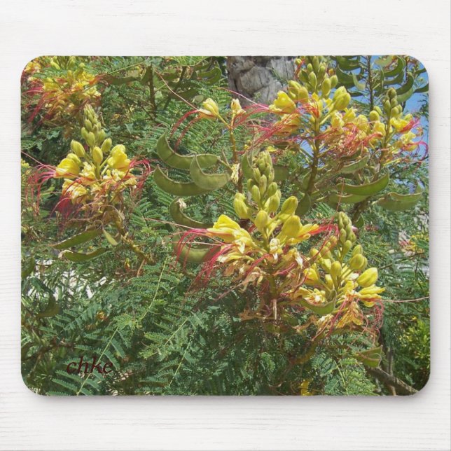 Mousepad Merak (Frente)