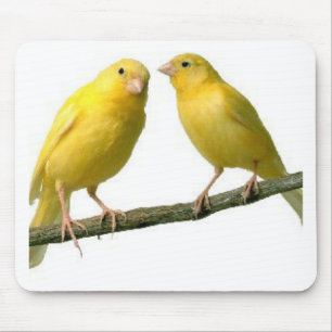 Mousepad Mercadoria do pássaro amarelo do animal de estima