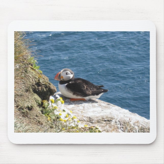 Mousepad Mergulhador de papagaio (Frente)