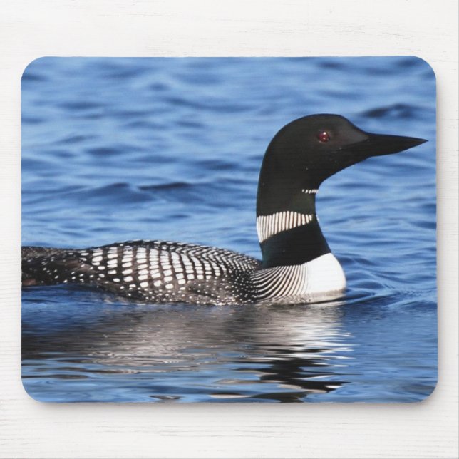 Mousepad mergulhão-do-norte (Frente)