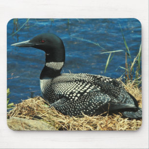 Mousepad Mergulhão-do-norte comum