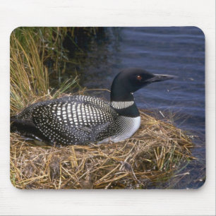 Mousepad Mergulhão-do-norte comum no ninho